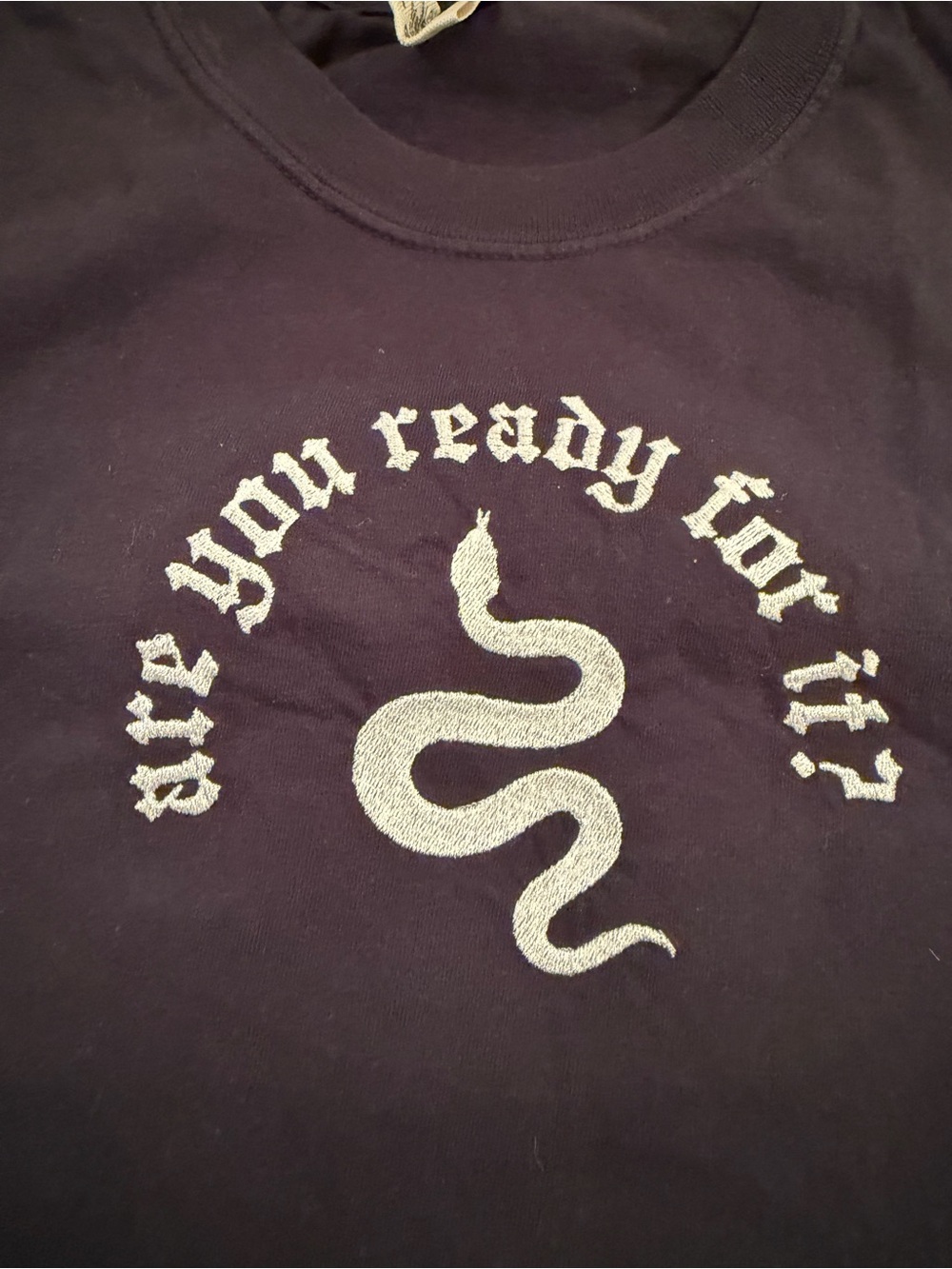 NWOT Reputation Comfort Colors embroidered Are You Ready For It? Tee shirt large